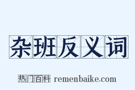 杂班反义词是什么意思的图片